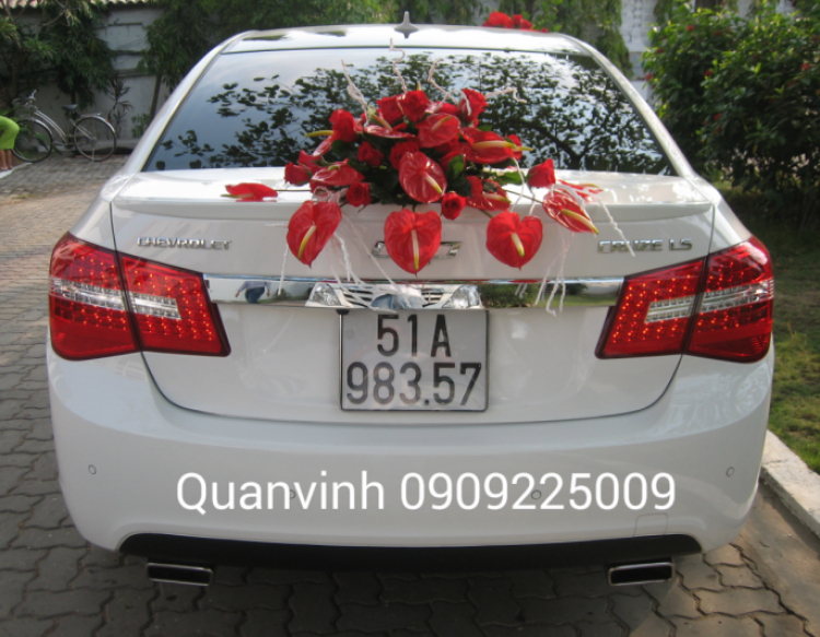 xin tư vấn về cruze 1.6