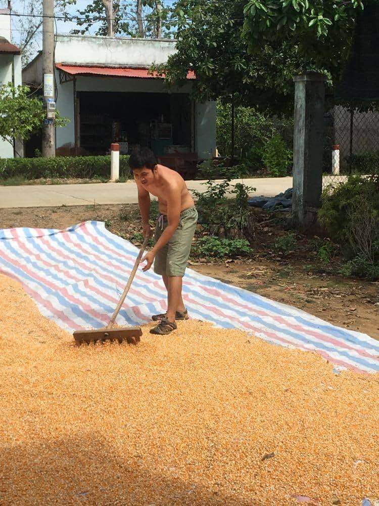 Đất rẫy ở đâu rẻ ? Đất rẫy ở đâu rẻ ?