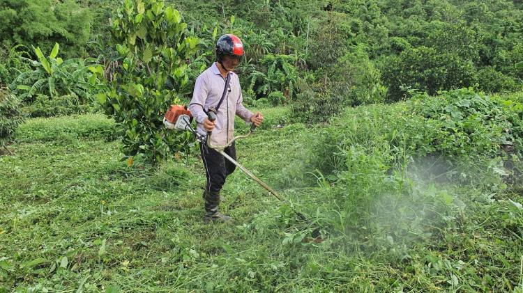 Đất rẫy ở đâu rẻ ? Đất rẫy ở đâu rẻ ?