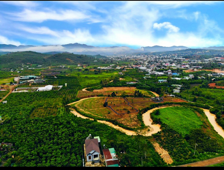 Thông tin xoay quanh BĐS Bảo Lộc.