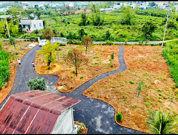 Thông tin xoay quanh BĐS Bảo Lộc. Thông tin xoay quanh BĐS Bảo Lộc.