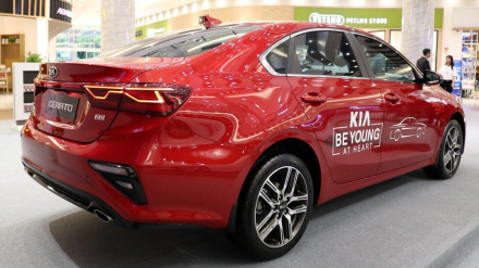 cerato 2-0.jpg