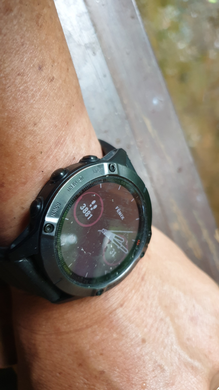 Đồng hồ Garmin