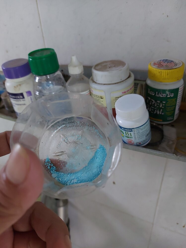 Bài học cho dân tập sự chơi lan mùa Covid19 và chơi cả hồng :P Bài học cho dân tập sự chơi lan mùa Covid19 và chơi cả hồng :P