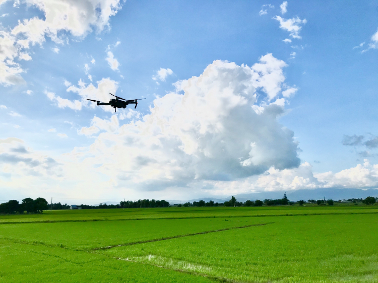 Chia sẻ mùa hè đáng nhớ cùng “Xe và những chuyến đi 2020” Chia sẻ mùa hè đáng nhớ cùng “Xe và những chuyến đi 2020”