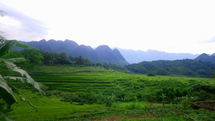 Chia sẻ mùa hè đáng nhớ cùng “Xe và những chuyến đi 2020” Chia sẻ mùa hè đáng nhớ cùng “Xe và những chuyến đi 2020”
