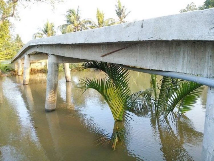 {SỰ KIỆN}: Lễ khánh thành và bàn giao cây cầu từ thiện của FFC