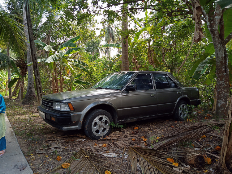 Toyota Corolla Cross mới Toyota Corolla Cross mới
