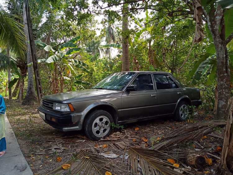 Toyota Corolla Cross mới