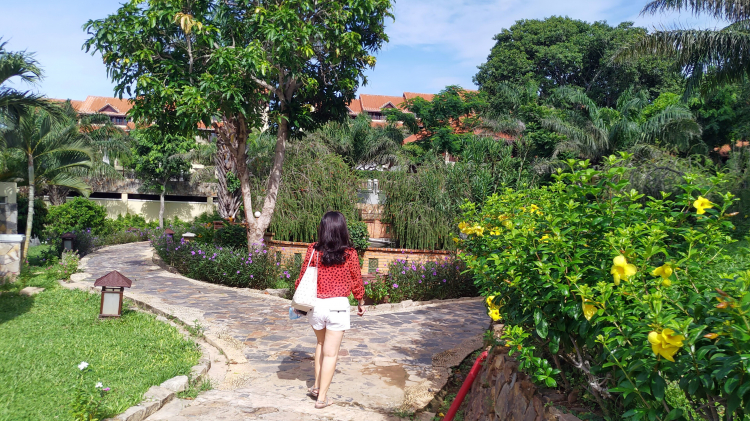 Chuyến nghỉ dưỡng mùa hè Covid. Chuyến nghỉ dưỡng mùa hè Covid.