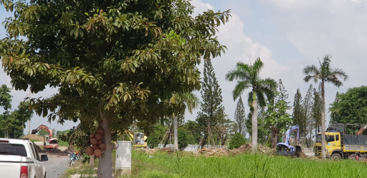 Dự án nhà vườn Kim Tâm Hải ( Lucky Garden )