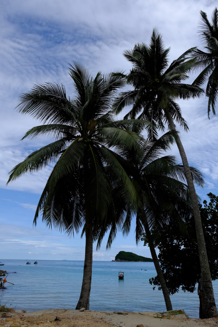 Từ Hè sớm 2020: “Gió như Phan - Nắng như Rang” đến Hè chính 2020: "Maldives của Việt Nam" Từ Hè sớm 2020: “Gió như Phan - Nắng như Rang” đến Hè chính 2020: "Maldives của Việt Nam"