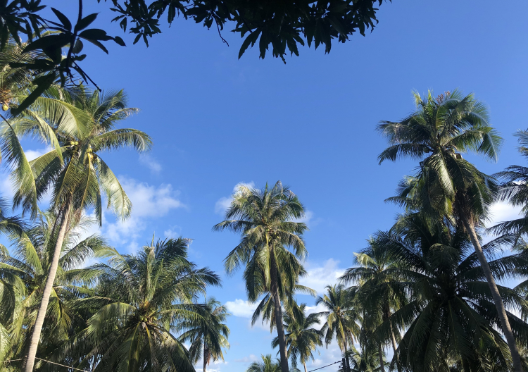 Từ Hè sớm 2020: “Gió như Phan - Nắng như Rang” đến Hè chính 2020: "Maldives của Việt Nam" Từ Hè sớm 2020: “Gió như Phan - Nắng như Rang” đến Hè chính 2020: "Maldives của Việt Nam"