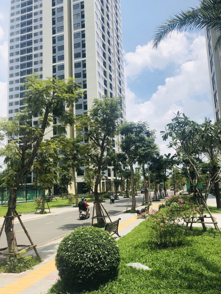 VINHOMES GRAND PARK QUẬN 9 LÀ CÁI “BẪY GẤU” CHO NHỮNG KHÁCH YÊU MÀU HỒNG!