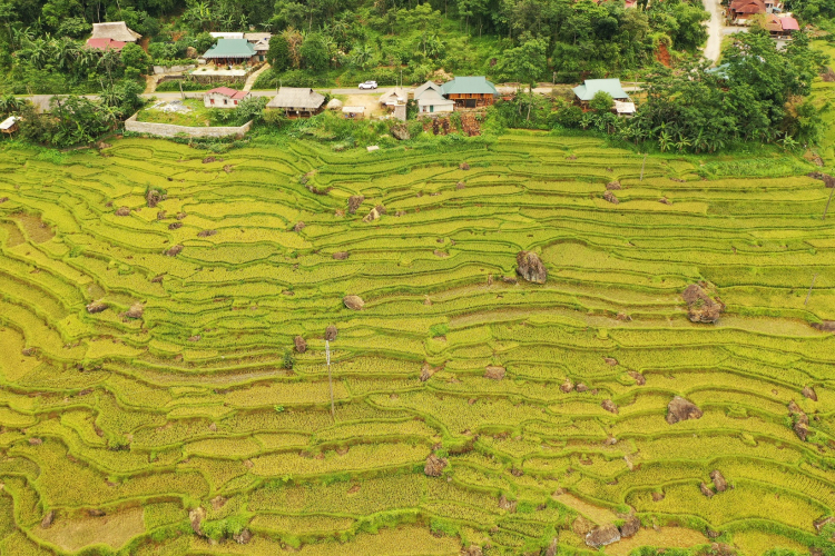 Lang thang Việt Nam, hành trình >17000km, 100+ ngày!