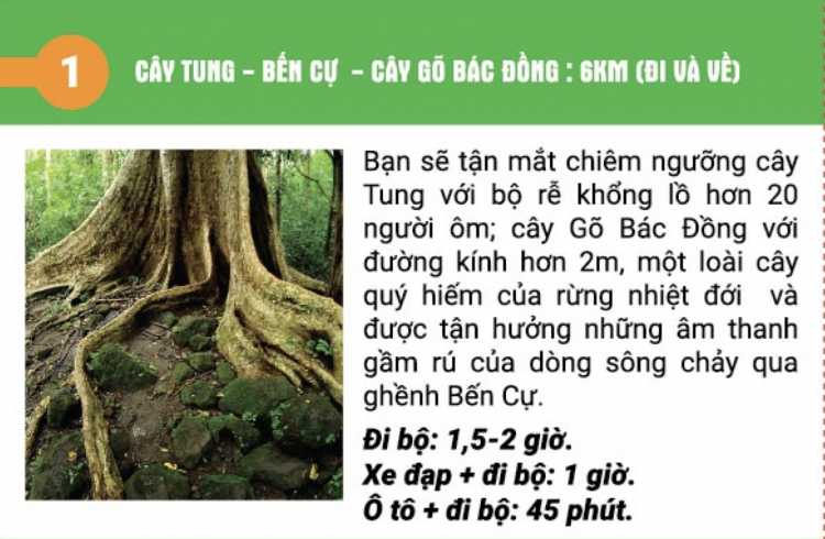 Jolie - Trên những nẻo đường Jolie - Trên những nẻo đường