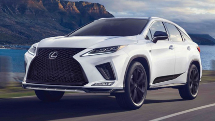 otosaigon-lexus-rx-black-line.jpg