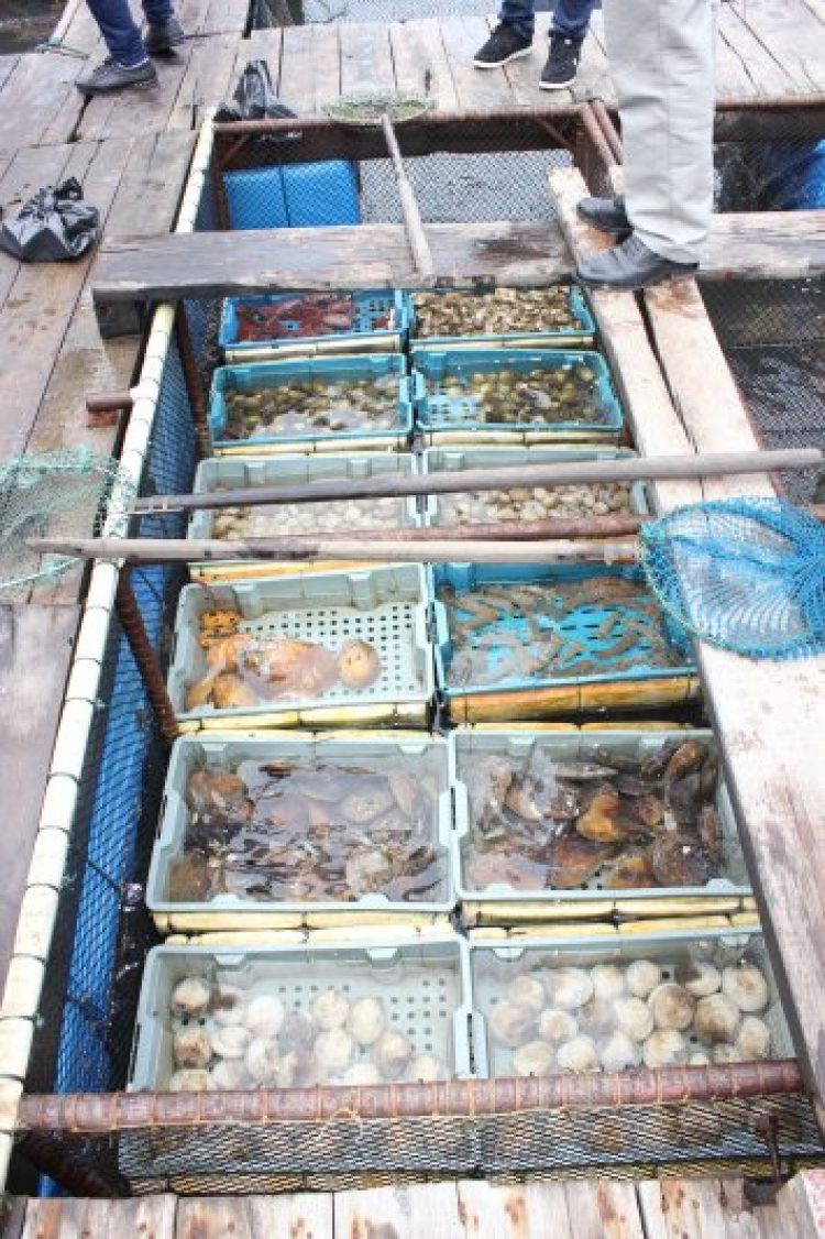 Nhật Ký Xuyên Việt Tết 2015 Nhật Ký Xuyên Việt Tết 2015