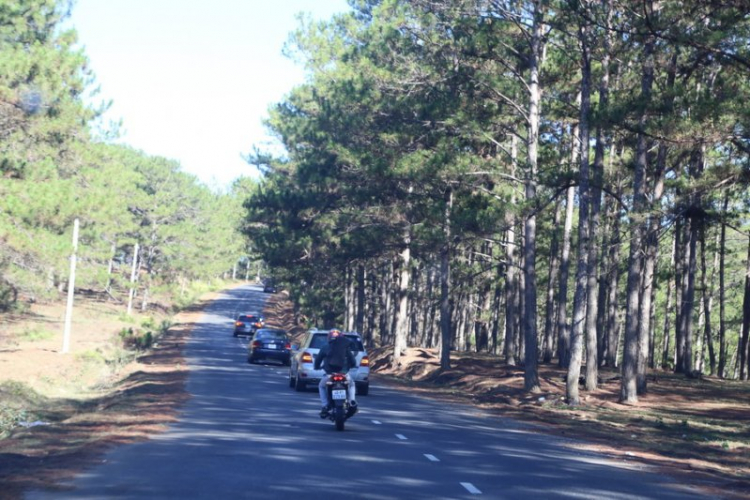 [MBFC] Caravan Đà Lạt - "Gương mặt thân quen"