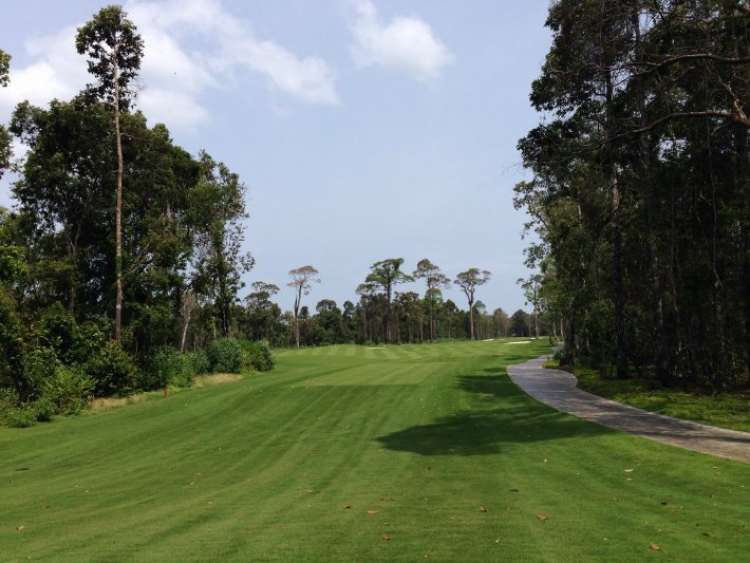 Môn Golf