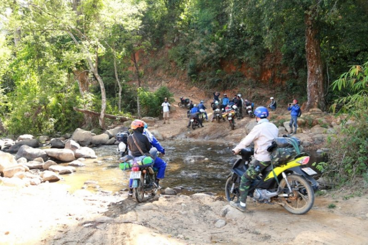 K'Tường khắc nghiệt rừng cao nguyên