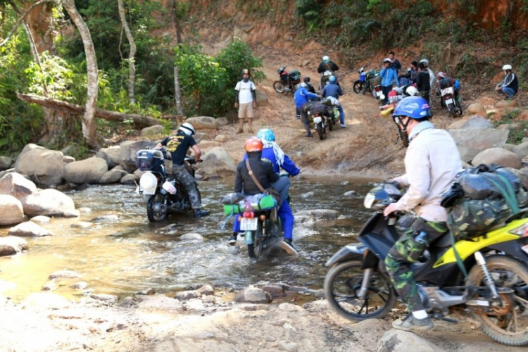 K'Tường khắc nghiệt rừng cao nguyên