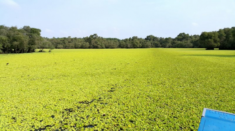 {TIỀN TRẠM}: Khám phá vẻ đẹp hoang dã tại "QUẦN ĐẢO HẢI TẶC" KIÊN GIANG - (2N2Đ 27, 28 và 29/03/2015