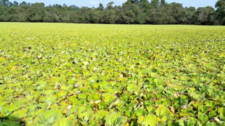 {TIỀN TRẠM}: Khám phá vẻ đẹp hoang dã tại "QUẦN ĐẢO HẢI TẶC" KIÊN GIANG - (2N2Đ 27, 28 và 29/03/2015