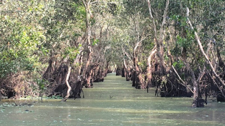 {TIỀN TRẠM}: Khám phá vẻ đẹp hoang dã tại "QUẦN ĐẢO HẢI TẶC" KIÊN GIANG - (2N2Đ 27, 28 và 29/03/2015