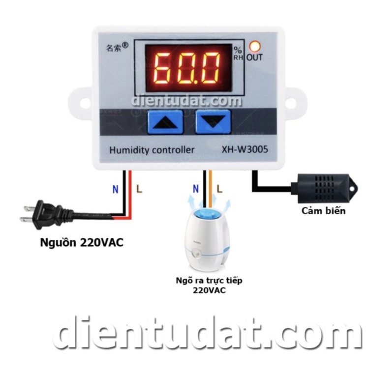 Bài học cho dân tập sự chơi lan mùa Covid19 và chơi cả hồng :P Bài học cho dân tập sự chơi lan mùa Covid19 và chơi cả hồng :P