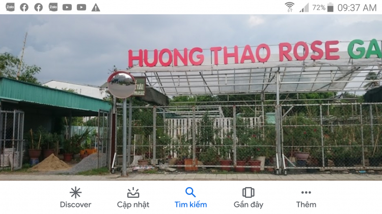 Bài học cho dân tập sự chơi lan mùa Covid19 và chơi cả hồng :P