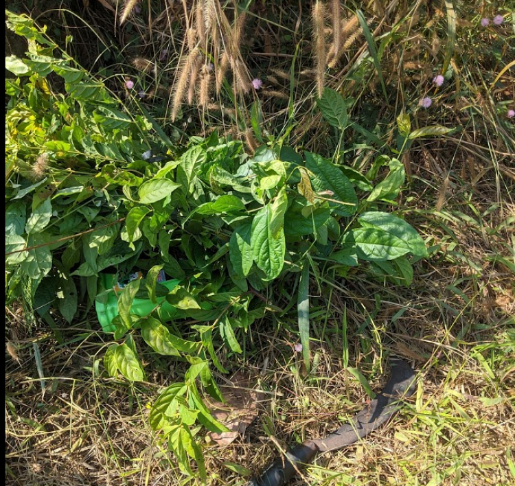 Thuốc đau nhức xương khớp và tê tay chân Thuốc đau nhức xương khớp và tê tay chân