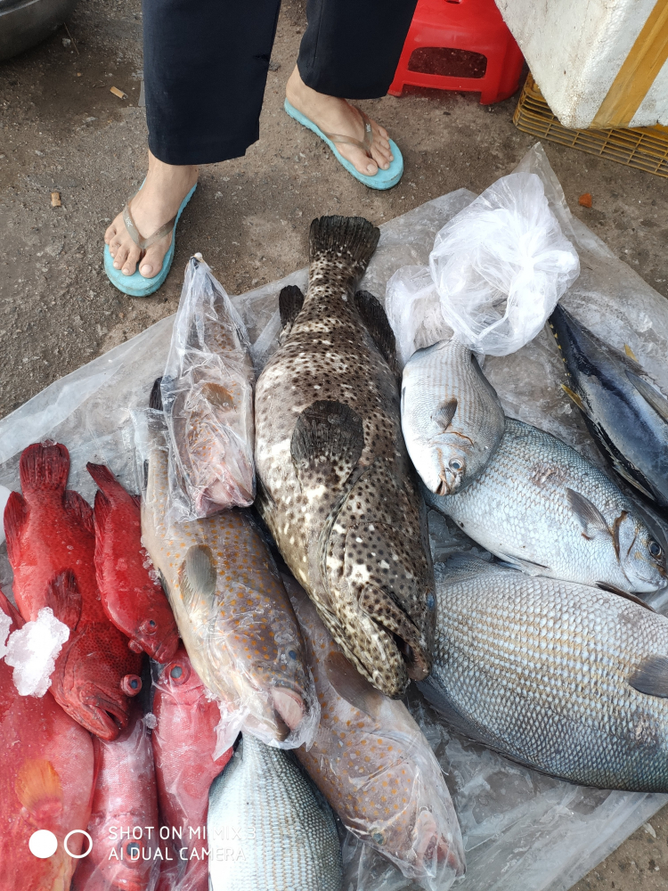 Hồ Cốc ngày cuối tuần Hồ Cốc ngày cuối tuần