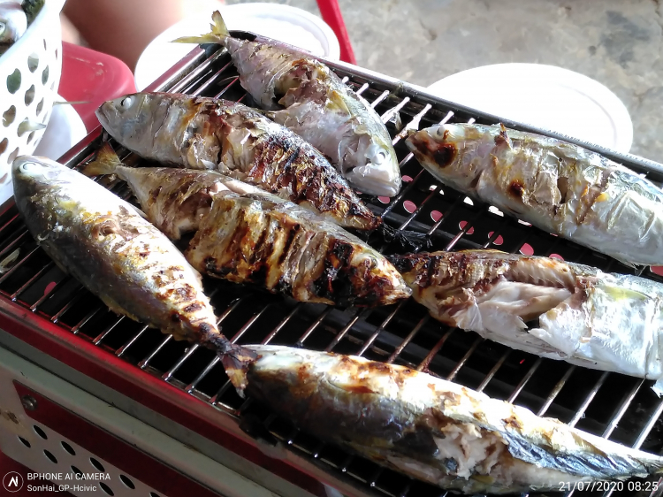 7 ngày hè lên rừng xuống biển, chơi đã đời cùng Asia Towner... 7 ngày hè lên rừng xuống biển, chơi đã đời cùng Asia Towner...