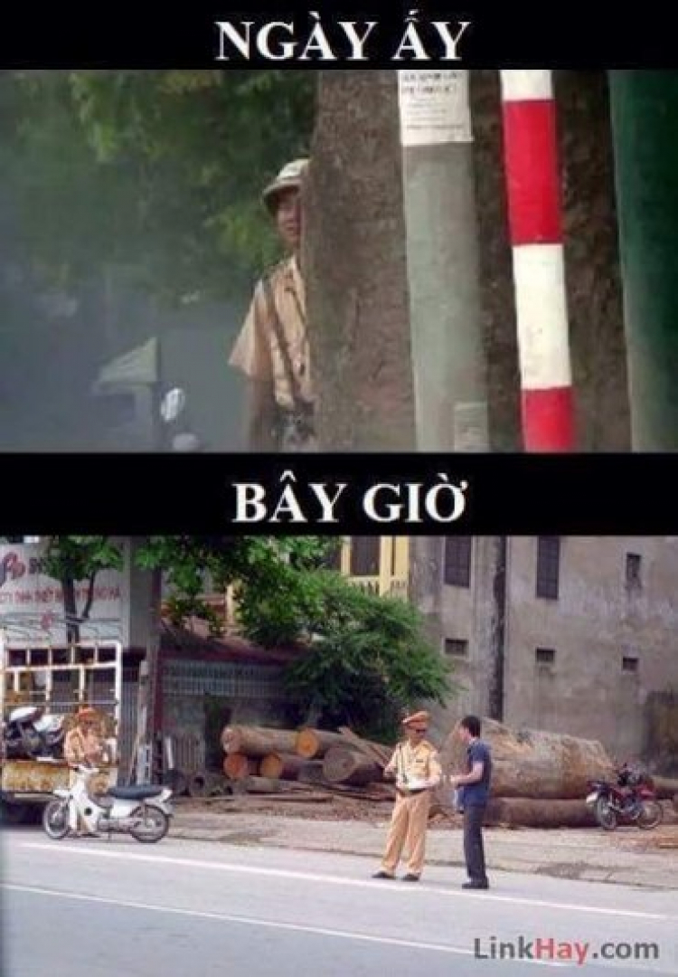 Hình ảnh xạ thủ đây ạ.