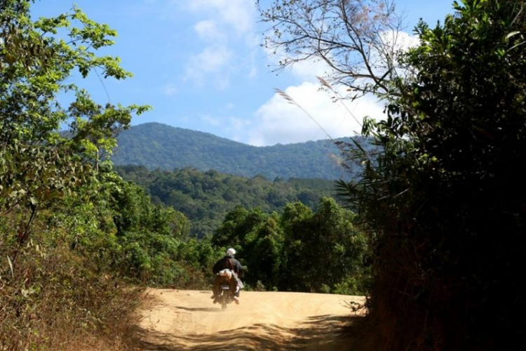 K'Tường khắc nghiệt rừng cao nguyên