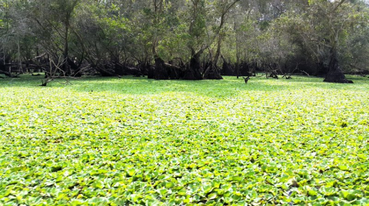 {TIỀN TRẠM}: Khám phá vẻ đẹp hoang dã tại "QUẦN ĐẢO HẢI TẶC" KIÊN GIANG - (2N2Đ 27, 28 và 29/03/2015