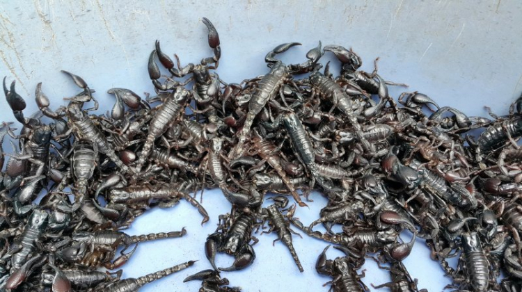 {TIỀN TRẠM}: Khám phá vẻ đẹp hoang dã tại "QUẦN ĐẢO HẢI TẶC" KIÊN GIANG - (2N2Đ 27, 28 và 29/03/2015 {TIỀN TRẠM}: Khám phá vẻ đẹp hoang dã tại "QUẦN ĐẢO HẢI TẶC" KIÊN GIANG - (2N2Đ 27, 28 và 29/03/2015
