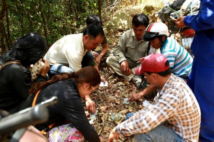 K'Tường khắc nghiệt rừng cao nguyên