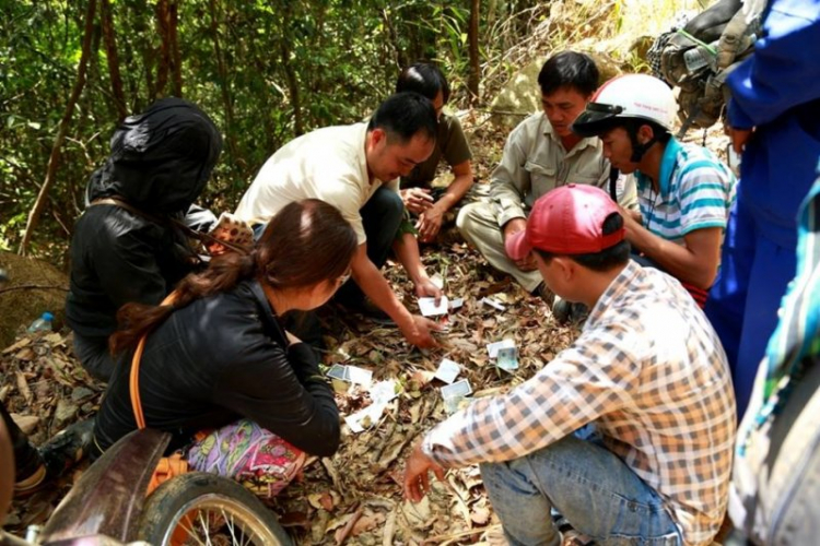 K'Tường khắc nghiệt rừng cao nguyên