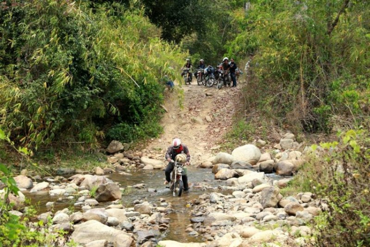 K'Tường khắc nghiệt rừng cao nguyên