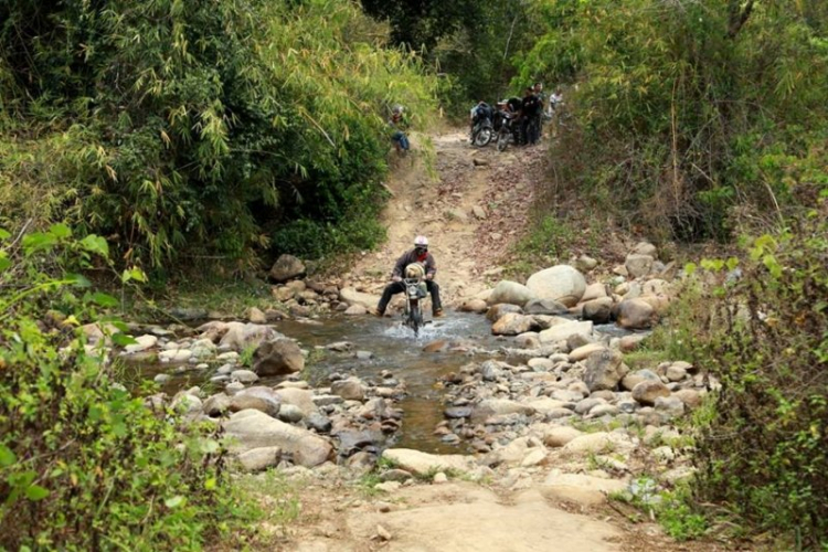 K'Tường khắc nghiệt rừng cao nguyên