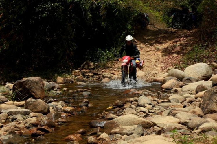 K'Tường khắc nghiệt rừng cao nguyên