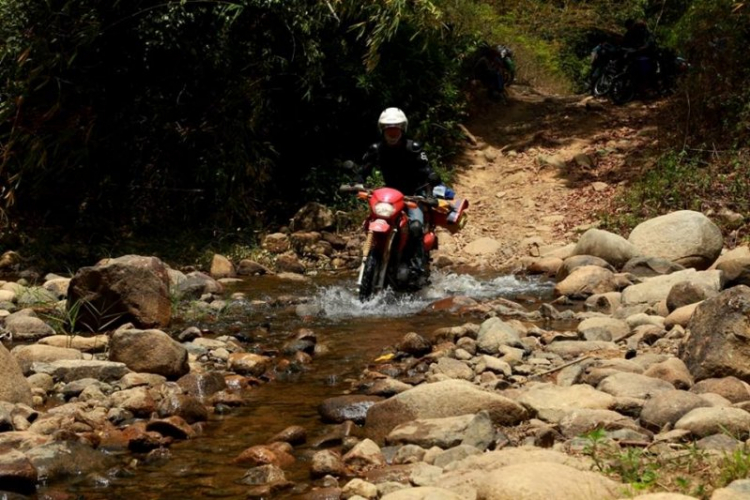 K'Tường khắc nghiệt rừng cao nguyên