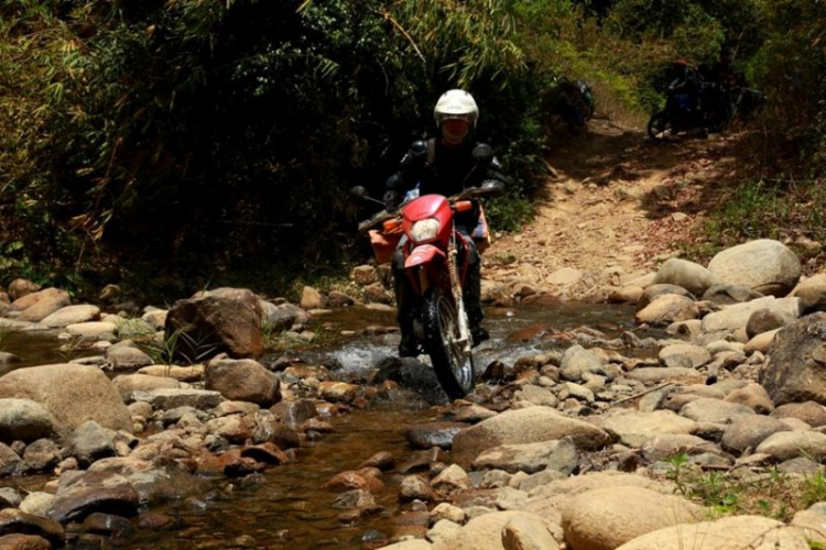 K'Tường khắc nghiệt rừng cao nguyên