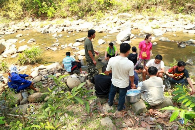 K'Tường khắc nghiệt rừng cao nguyên K'Tường khắc nghiệt rừng cao nguyên
