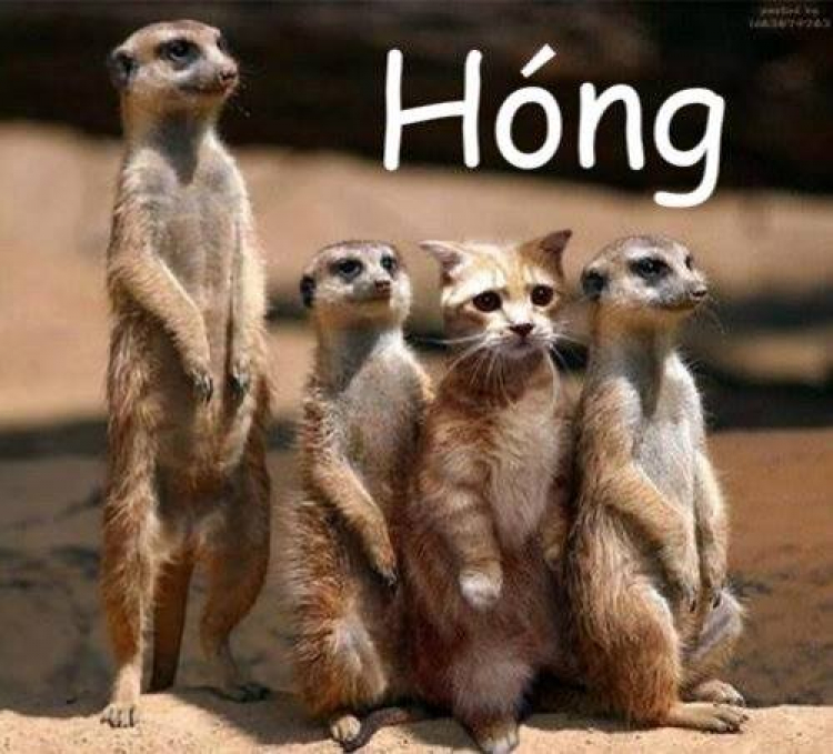 OS BÌNH DƯƠNG - Khởi Nguồn Đam Mê OS BÌNH DƯƠNG - Khởi Nguồn Đam Mê