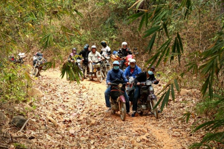 K'Tường khắc nghiệt rừng cao nguyên