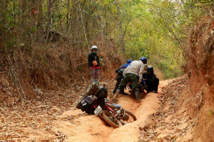 K'Tường khắc nghiệt rừng cao nguyên