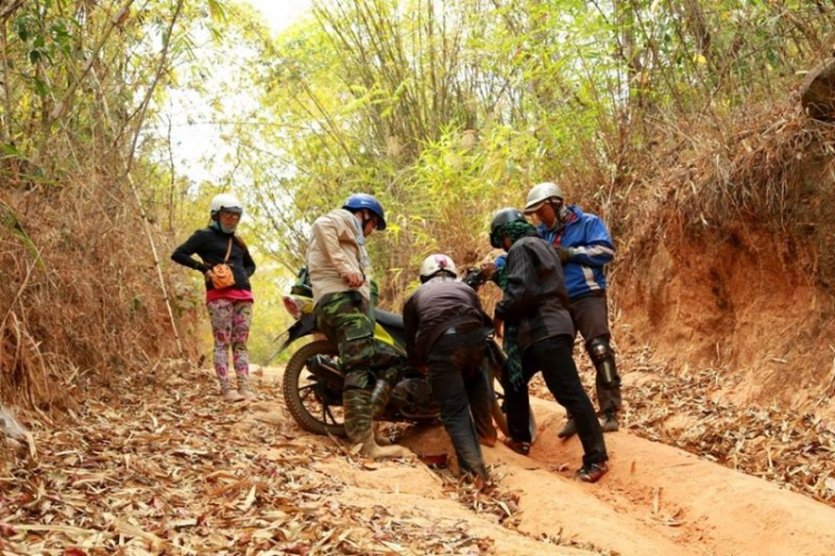 K'Tường khắc nghiệt rừng cao nguyên